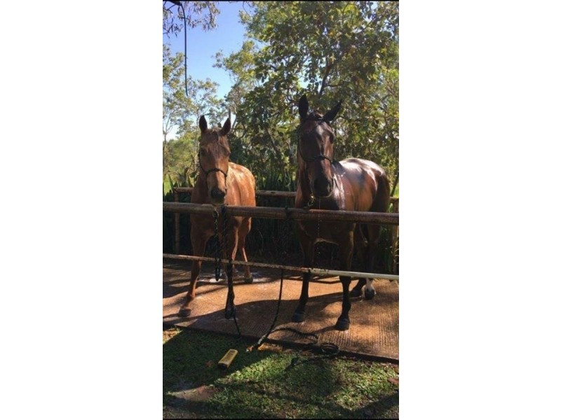 25 Krichauff Road, Humpty Doo NT 0836