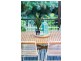 379 McMillans Road (Service Road), Anula NT 0812