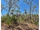 Section 3672, 4500 Fog Bay Road, Dundee Forest NT 0840