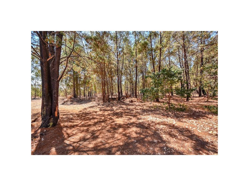 63 Forest Drive, Humpty Doo NT 0836
