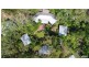 120 Trippe Road, Humpty Doo NT 0836