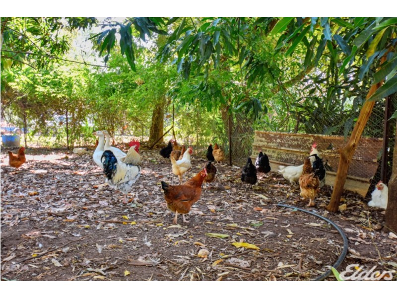 925 Livingstone Road, Berry Springs NT 0838