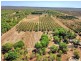 605 Mocatto Road, Acacia Hills NT 0822