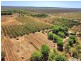 605 Mocatto Road, Acacia Hills NT 0822