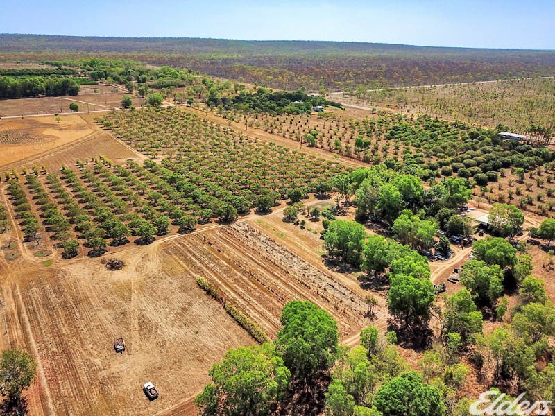 605 Mocatto Road, Acacia Hills NT 0822
