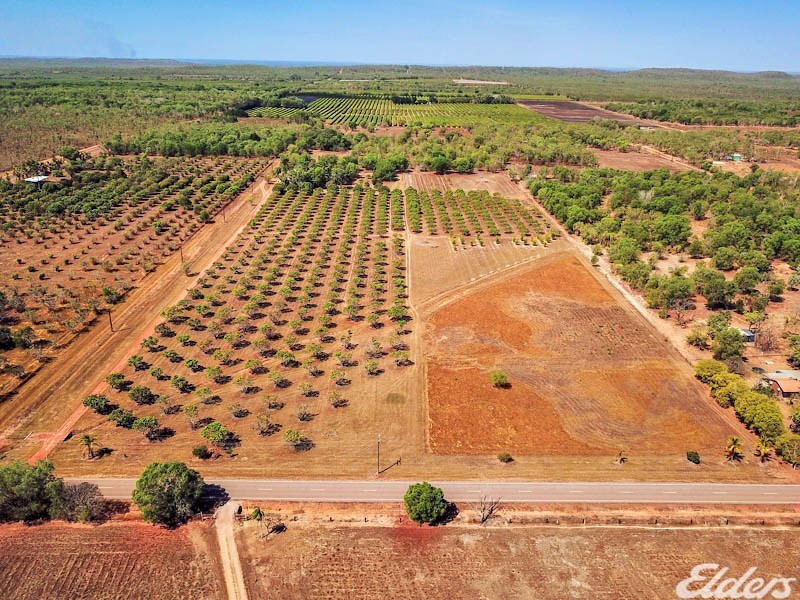 605 Mocatto Road, Acacia Hills NT 0822