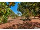 605 Mocatto Road, Acacia Hills NT 0822