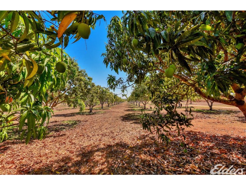 605 Mocatto Road, Acacia Hills NT 0822