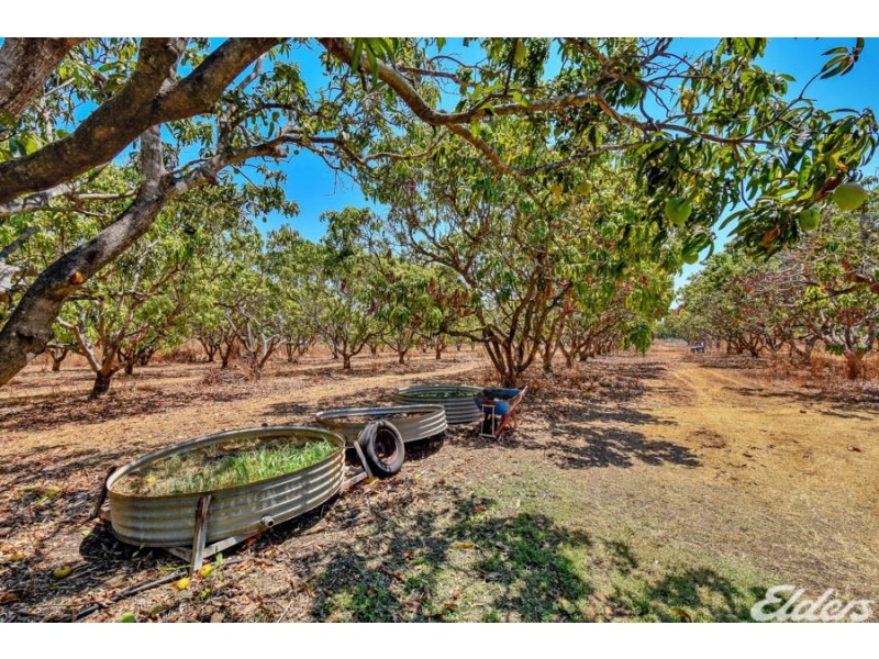 70 Pangola Road, Humpty Doo NT 0836