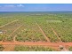 295 and 305 Brougham Road, Fly Creek NT 0822