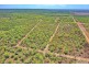 295 and 305 Brougham Road, Fly Creek NT 0822