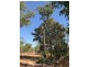 305 Brougham Road, Fly Creek NT 0822