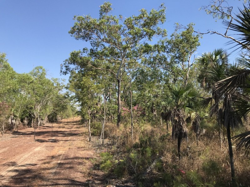 305 Brougham Road, Fly Creek NT 0822