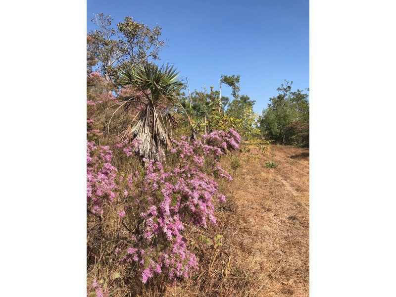 305 Brougham Road, Fly Creek NT 0822