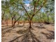 915 Mira Road South, Darwin River NT 0841
