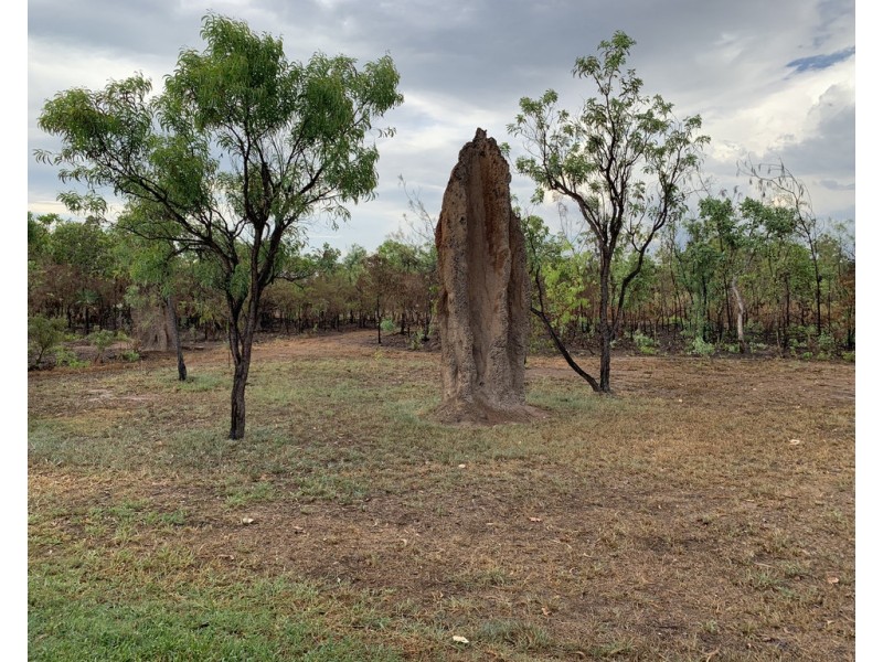 1 Numbat Court, Berry Springs NT 0838