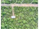 140 Lavington Road, Dundee Downs NT 0840
