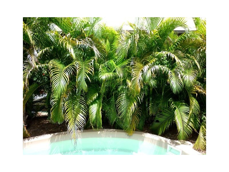 11 Blackmore Court, Gunn NT 0832