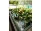 6 Seagar Court, Gray NT 0830