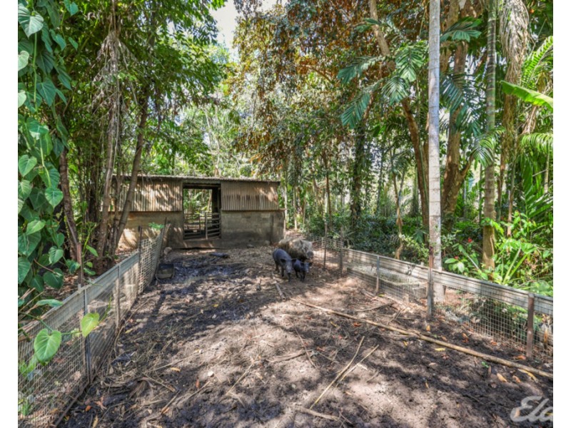 336 Bronzewing Avenue, Howard Springs NT 0835