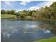 20 Rose Street, Gunn NT 0832