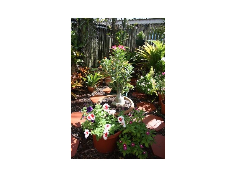 26/16 McGuire Circuit, Moulden NT 0830