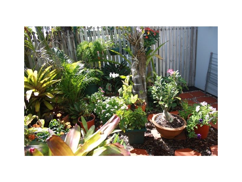 26/16 McGuire Circuit, Moulden NT 0830