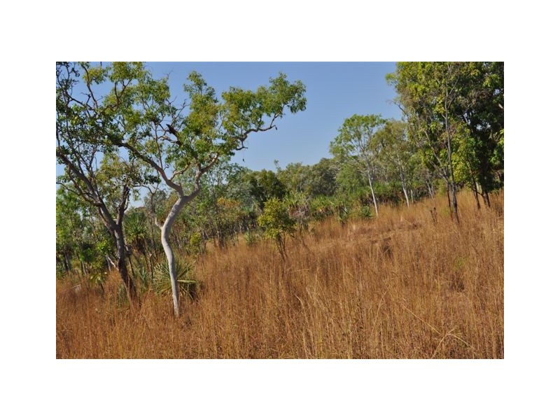 Sec 2917 – 700 Litchfield Park Road, Batchelor NT 0845