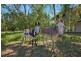 155 Acacia Road, Humpty Doo NT 0836