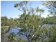 445 Chinner Road, Lake Bennett NT 0822