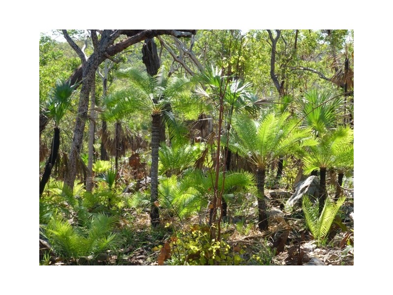 445 Chinner Road, Lake Bennett NT 0822