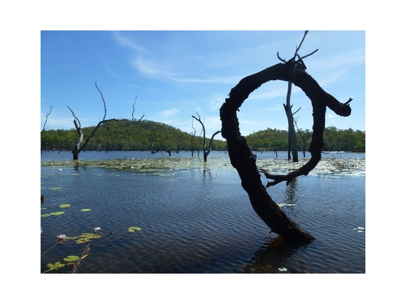 445 Chinner Road, Lake Bennett NT 0822