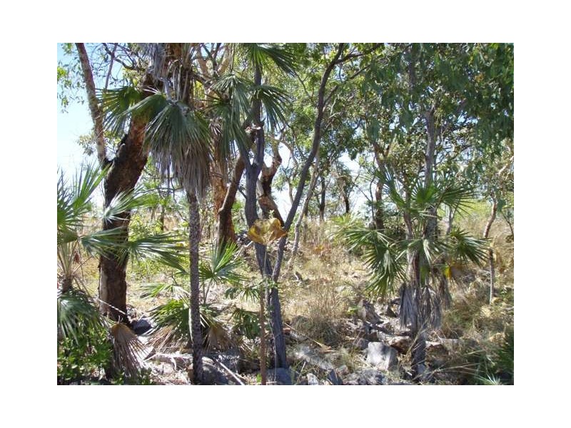 445 Chinner Road, Lake Bennett NT 0822