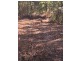 Lot 34 Setosa Road, Humpty Doo NT 0836