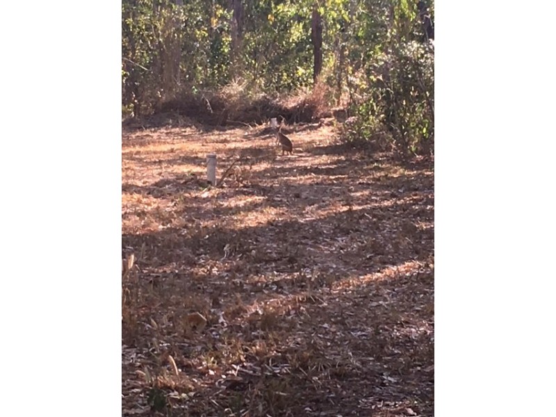 Lot 34 Setosa Road, Humpty Doo NT 0836