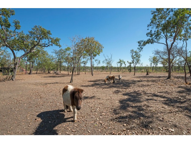 115 Northstar Road, Acacia Hills NT 0822