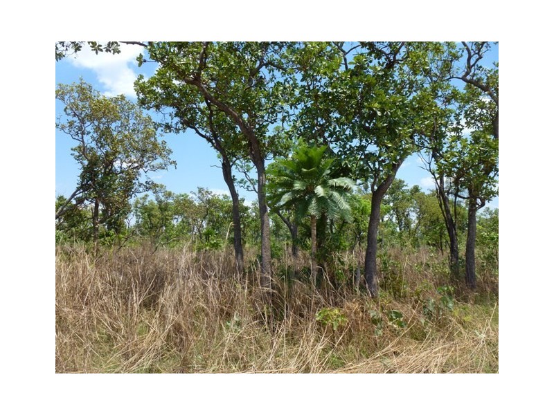 950 Mocatto Road, Manton NT 0837