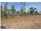 950 Mocatto Road, Manton NT 0837