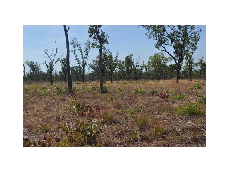 950 Mocatto Road, Manton NT 0837