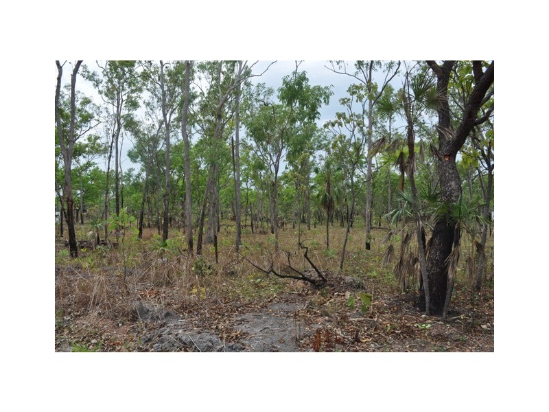 Sections 799, 800 and 902, Darwin River NT 0841