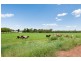60 Ringwood Road (Tortilla Flats), Adelaide River NT 0846