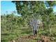 1945 Dorat Road (Robin Falls), Adelaide River NT 0846
