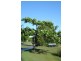 7 DeCourcy Place, Durack NT 0830