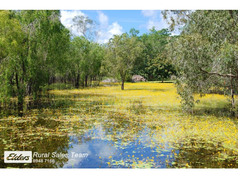 170 Dichondra Road, Howard Springs NT 0835