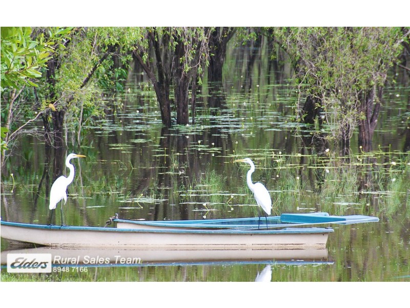170 Dichondra Road, Howard Springs NT 0835