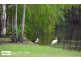 170 Dichondra Road, Howard Springs NT 0835