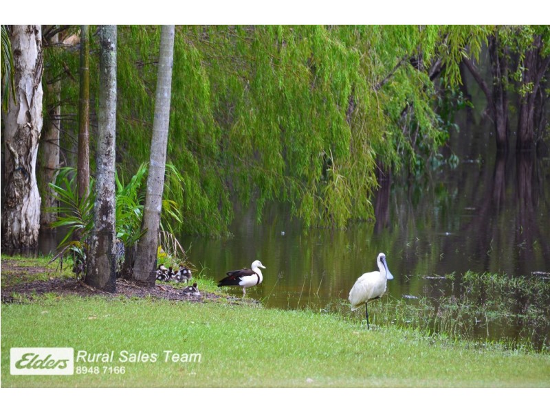 170 Dichondra Road, Howard Springs NT 0835