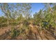 525 Darwin River Road, Darwin River NT 0841
