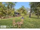 335 Spencer Road, Darwin River NT 0841