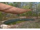 3 Tattler Court, Howard Springs NT 0835